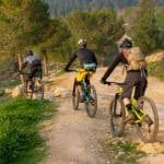 Three,Men,Riding,Bicycles,On,A,Forest,Path,Near,Jerusalem,